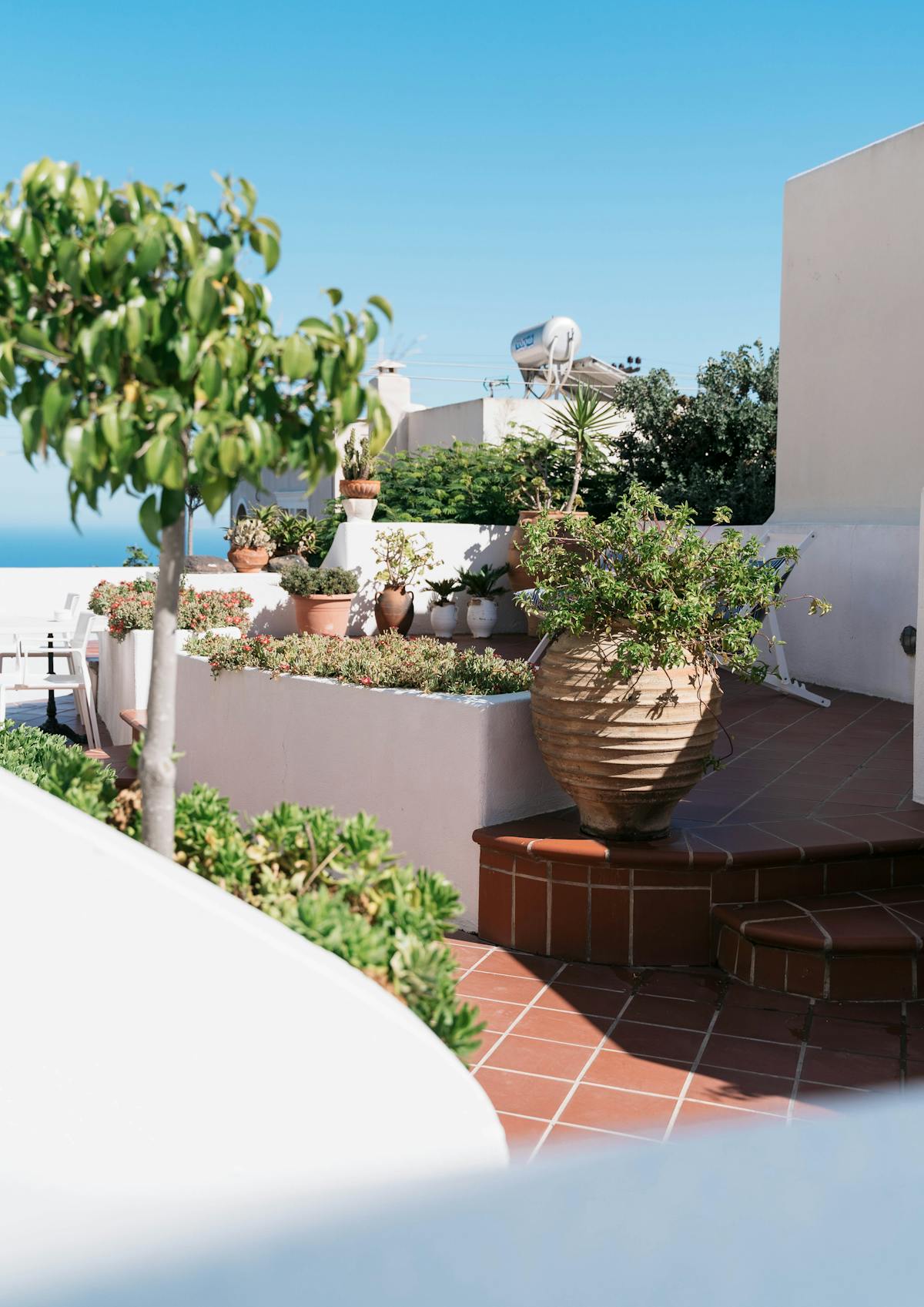 Élagage d'arbres par paysagiste à Nice