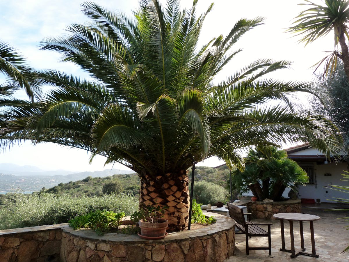 Jardin paysager méditerranéen à Nice